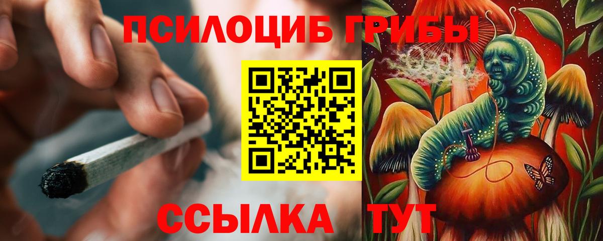 Галлюциногенные грибы Psilocybine cubensis Вязники